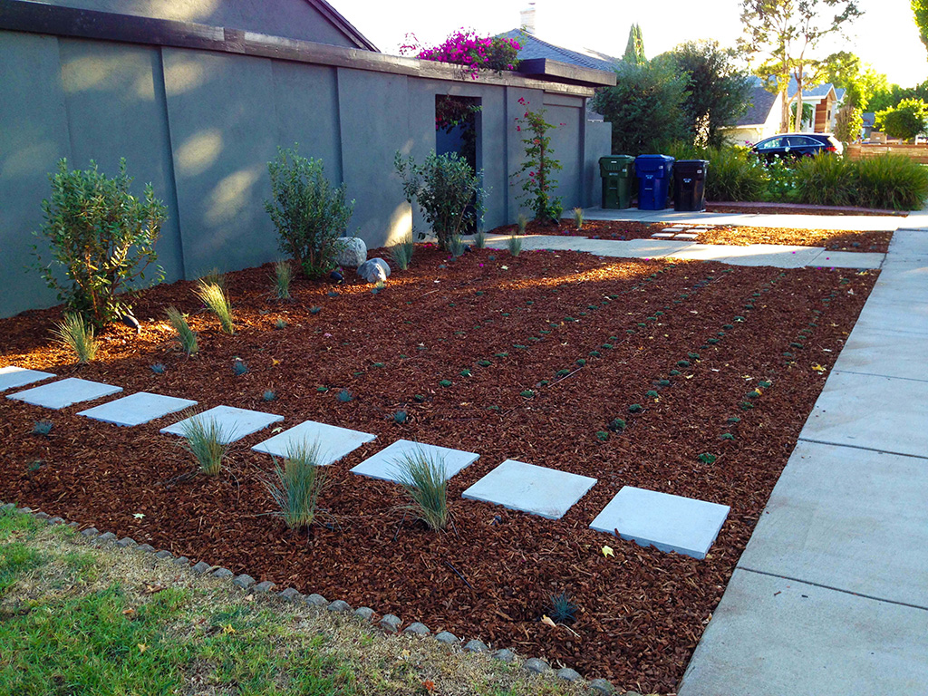 You are currently viewing Nugget Mulch & Creeping Thyme